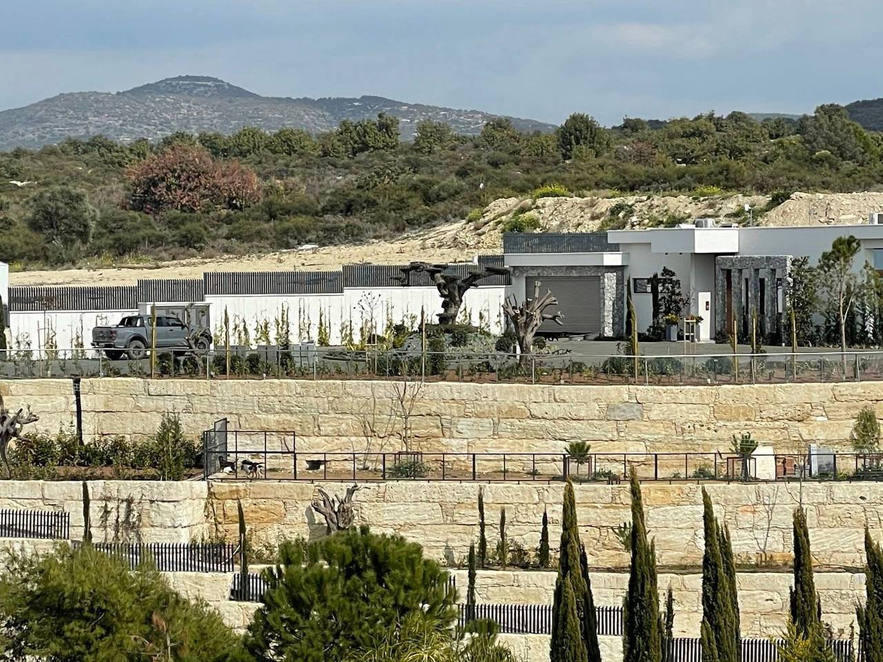 photo 2026 02 20 09 47 30